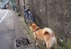 世界帆船赛事海上医疗救援联合演练记录公开，海上帆船比赛