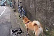 世界帆船赛事海上医疗救援联合演练记录公开，海上帆船比赛